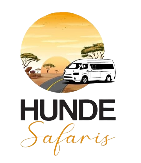 Hunde Safaris